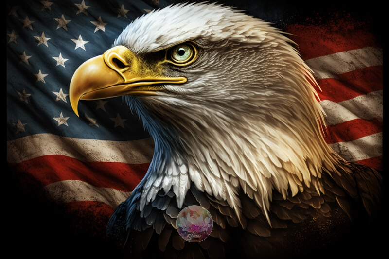 Bald Eagle is the National symbol of USA for majestic, liberty, and independence from 1782