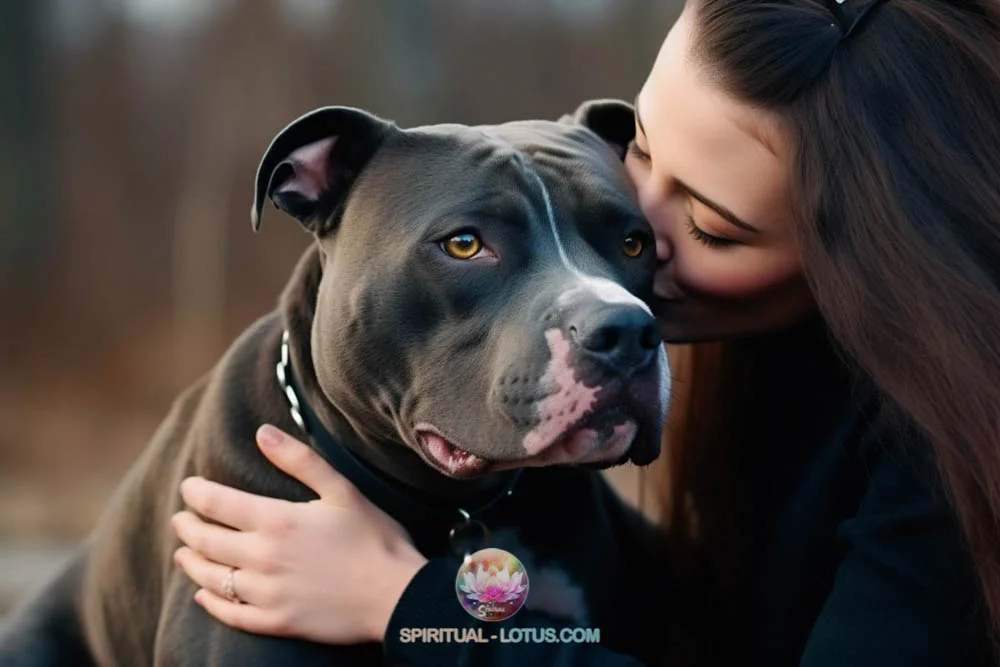 A girl kiss her Pitbull as a best loyalty and devotion dog