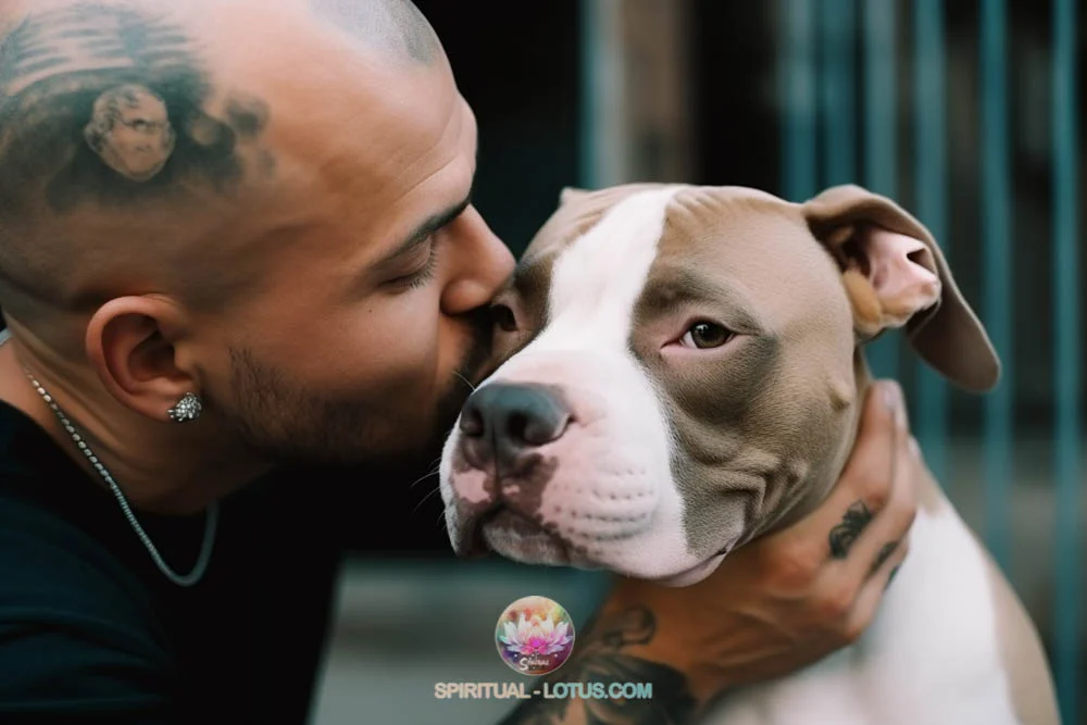 Man kiss his pitbull because of loyalty and devotion