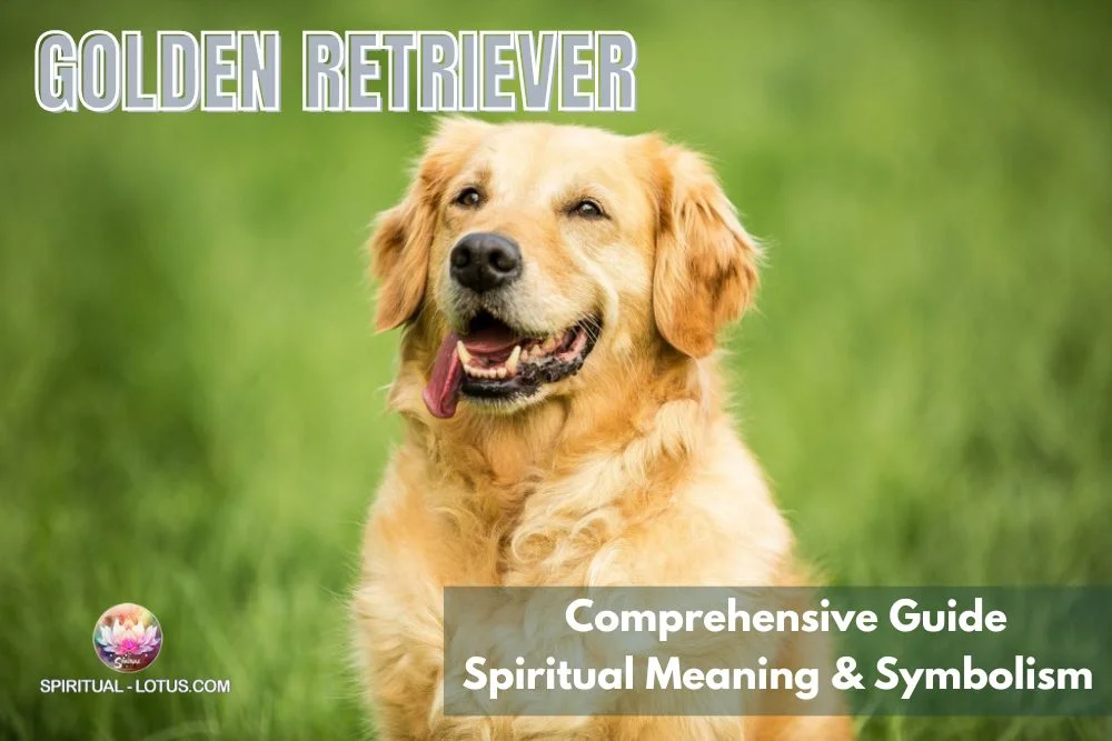 Comprehensive guide golden retriever dog spiritual meaning and symbolism