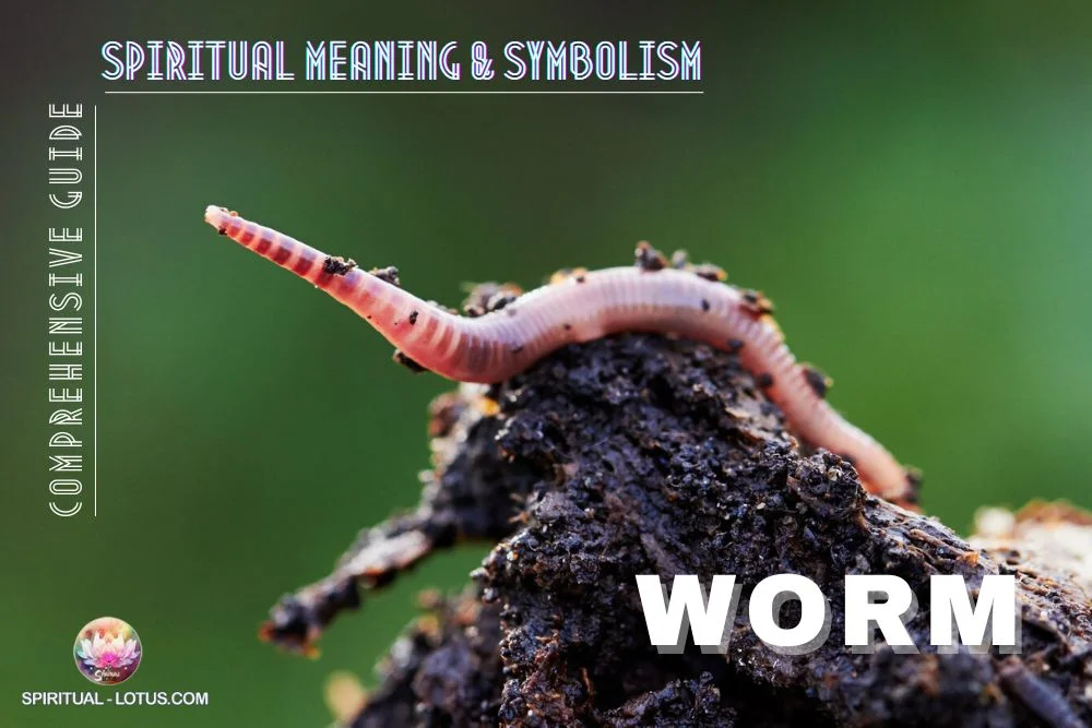 spiritual meaning of Worm: The comprehensive guide, totems, symbolism, dream meaning